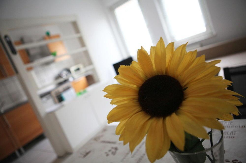 White House Bochum Ehrenfeld Apartment Екстериор снимка